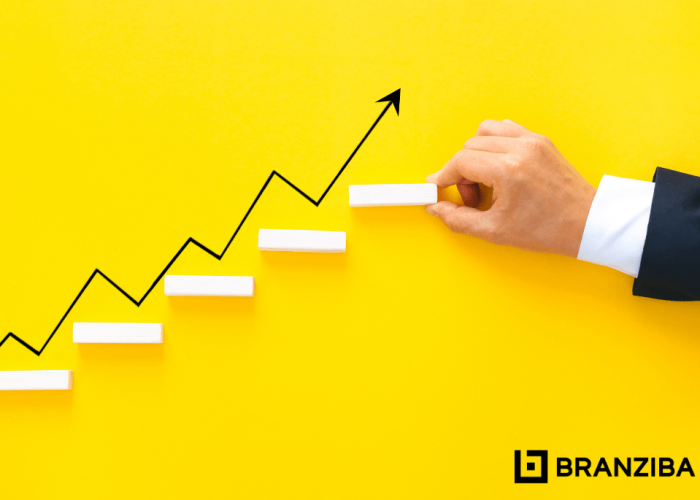 branziba helps you grow